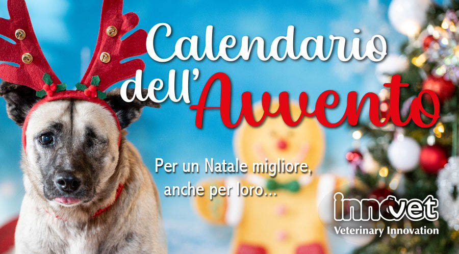 Partecipa al Calendario dell'Avvento Innovet